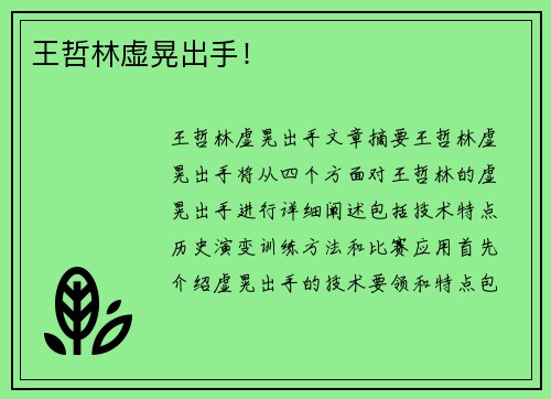 王哲林虚晃出手！
