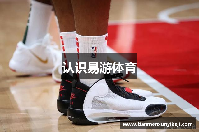 认识易游体育
